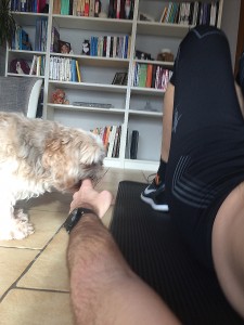 Leo ist mit meinem Training nicht einverstanden